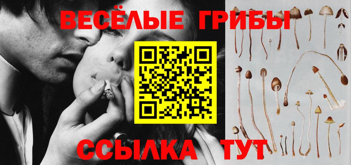 Псилоцибиновые грибы прущие грибы Кунгур