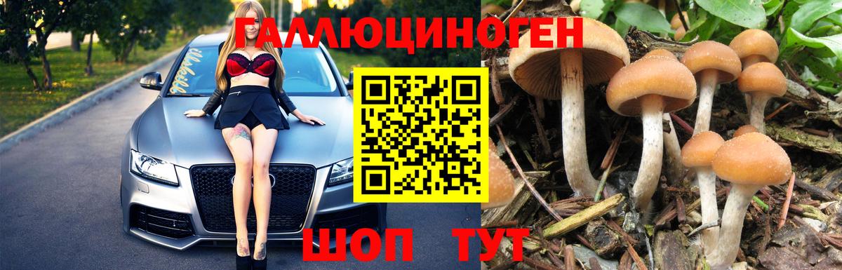 Кунгур  Псилоцибиновые грибы прущие грибы  Галлюциногенные грибы Magic Shrooms  Вход с VPN 